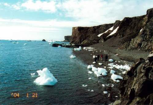 南極大陸 King George Island