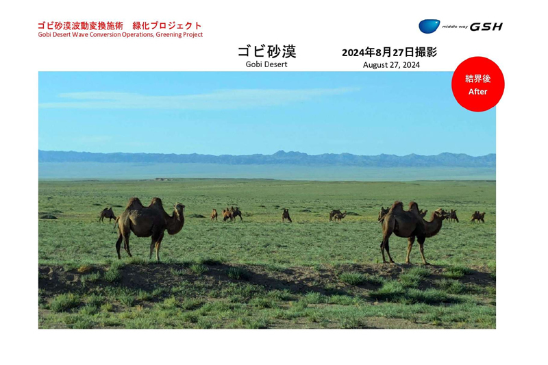 ゴビ砂漠波動変換プロジェクト After